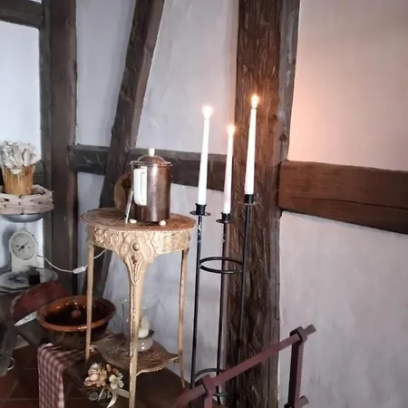 Historische Raume Uber Mittelaltergewolbe Mit Terrasse Erfurt