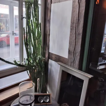 Historische Raume Uber Mittelaltergewolbe Mit Terrasse Apartment Erfurt